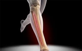 Lower Limb Diagnostic Ultrasound Masterclass